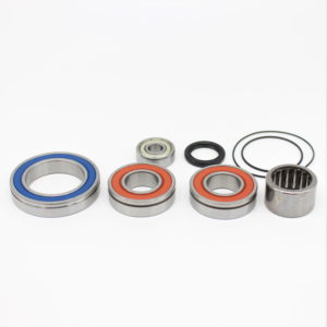 Panasonic 36V Bearing overhaul kit